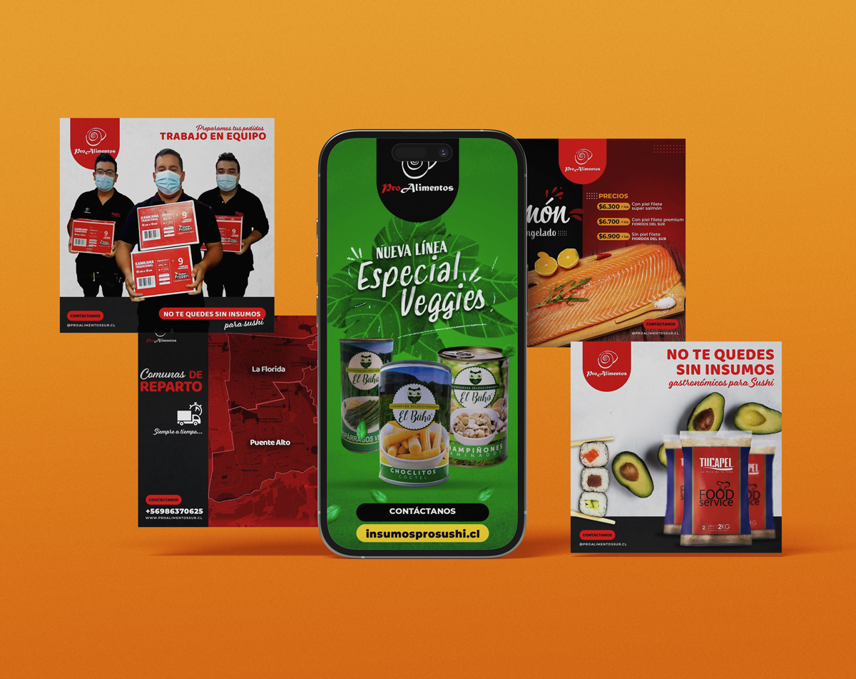 Diseño gráfico redes sociales ProAlimentos — social media Santiago