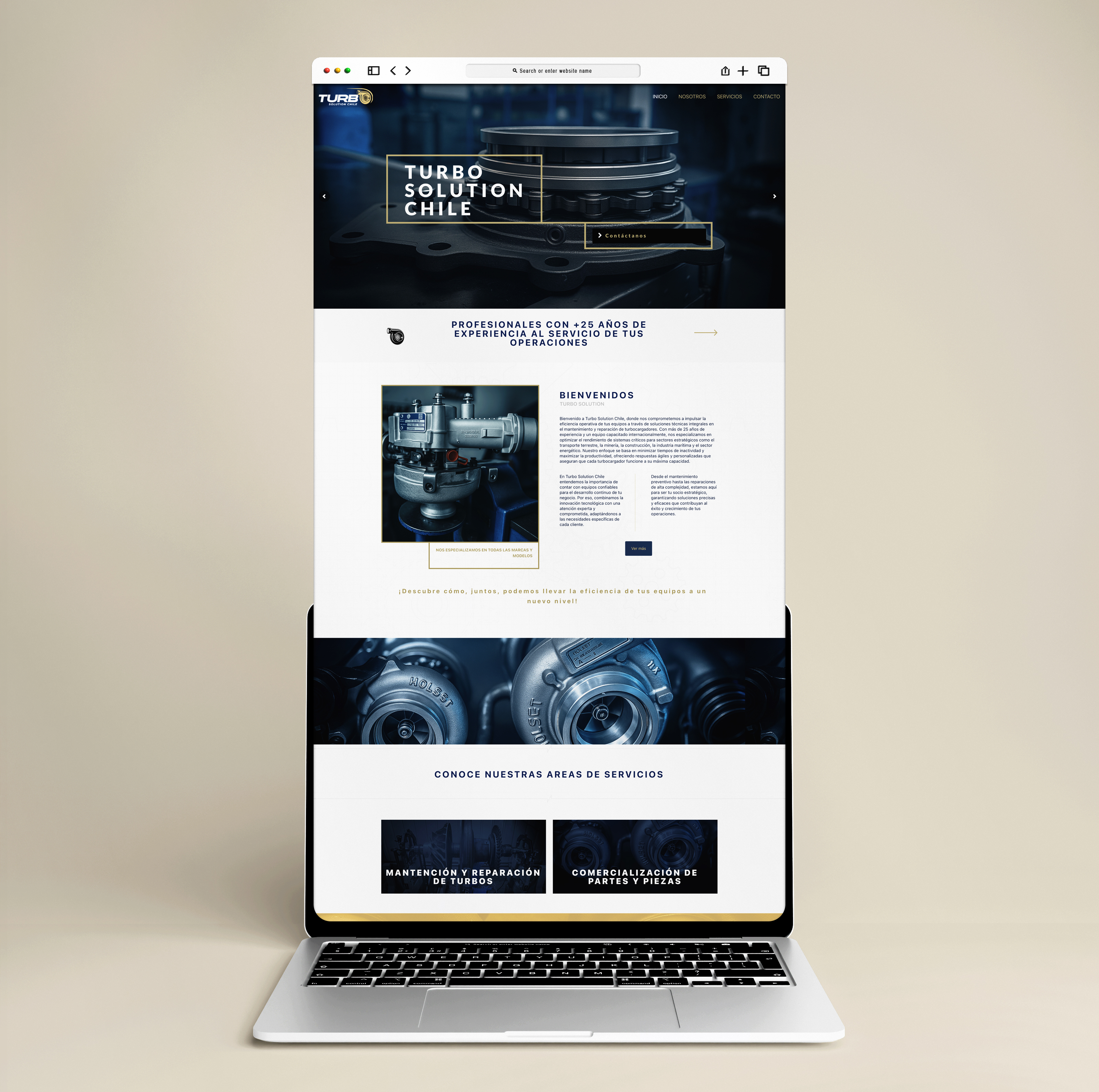 Diseño web Turbo Solution — SEO técnico B2B Chile